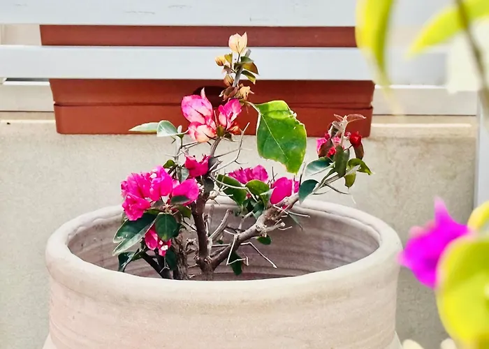 La Casa Di Tina A Due Passi Dal Centro * Pachino