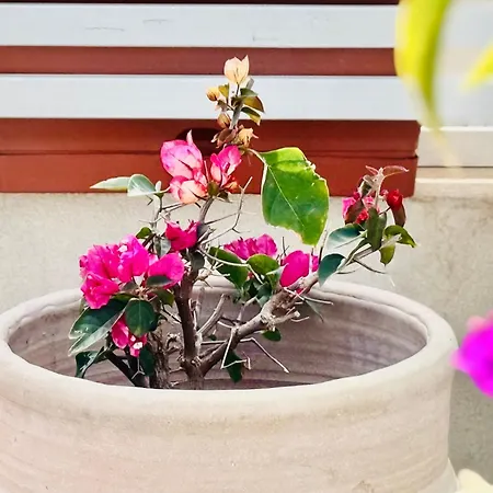 La Casa Di Tina A Due Passi Dal Centro * Pachino